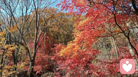 好的情感关系核心在于冲突