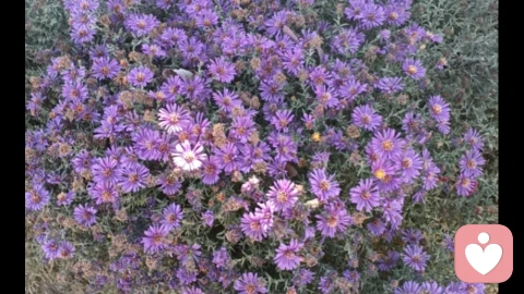 让他更爱你的好办法