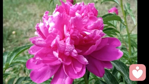 其实恋爱关系的修复真的很简单