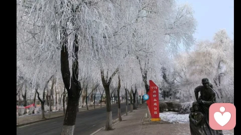 强者是怎么熬过来的