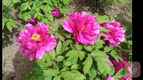 如何度失恋的痛苦期！