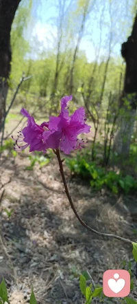 夫妻关系大于一切！
为什么民法典里规定配偶是亲属关系的第一继承人？
因为人的自由意志大于一切血缘关系，你的配偶是你自己主动选择的，要跟他共同生活的人，你主动的选择跟他共享经济身体。还有命运。父母无法选择，兄弟姐妹甚至孩子，我们都没有办法主动选择，我们只能接受。但是唯有婚姻是我们每个人自由挑选的，并且立法让你选择，高于其他所有的血统统治，法律之所以这么设置，就是因为他了解人性，这就是基于人性设置的，父母老了再爱你，他也没有办法陪你到最后，孩子长大了，他会有自己的事业，自己的感情，他是个独立的人，你想让他天天围着你转，那是不可能的，体力上生命力上，能陪伴你时间最长的就是你的配偶，老伴，老伴老来相伴，经济上与你一荣俱荣，一损俱损的还是你的配偶。有人陪你一起拼事业，养孩子，照顾父母，所以你们赚的钱叫夫妻共同财产，但凡你俩拧成一股绳，婚姻无坚不摧，因为在内部你俩足够团结在外部，法律就是赋予给你们一切的保护了，法律就保护你们了，所以我真的希望各位一定要记住，婚姻是你们靠无数次，选择无数次磨合，无数次包容和坚持维系下来的你们彼此守望，相互依靠，这种自愿的亲密也是人类情感里最珍贵，也是最独特的部分，也是法律和世界都认可的第一顺位。
如果你有幸遇到那个愿意与你一起走下去的人，请你一定要珍惜这份选择这份自由，这份彼此的托付。
如果你说可是我主动选择这个人，他让我觉得过得很糟心。那就想办法解决，因为这也是你主动的结果，当你能够主动的跟你主动选择的人，当然Ta也一样，你们能主动的把这个关系维系的更紧密的时候，此生才值得！