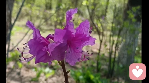 内耗的终结者是自我建立!