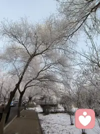 梦醒花落冬雪飘
岁末回首空度日
我问红尘心何往
日复一日是真经