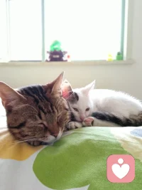 在线营业，贩卖美好。