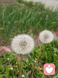 生命中很多事物，只是流经你，而非流向你。
你是空性的容器，是流转的管道，而非万物的终点。
允许人来人往，接纳缘起缘灭，心才能真正松弛下来。