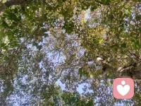 不把你們當客戶，所以不會去回訪拉業績。
但你們需要的時候，我都在~
今天長沙的陽光很好~