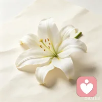 1. 皮格马利翁效应：他人的期待会潜移默化影响你的行为，别人对你抱有正向期待，你更容易表现出色；反之负面评价容易自我设限。
2. 从众效应：身处群体时，个体容易主动贴合大众观点与行为，哪怕内心不认同，也会为了融入集体选择附和。