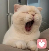 你的睡眠怎么样？先来了解一下睡眠与什么有关，
1、入睡困难
2、早醒
3、睡眠浅
4、睡惊
     如果有上述问题，请大家阅读一下下面的内容，就会知晓了[太阳]

1[爱心]【入睡困难】
一般会伴随着焦虑同在，会有胡思乱想，不断回忆过去，担心未来，还有就是现实压力会比较大一些，
心理原因（以个性/体质为核心的易感因素，以心理创伤/心结为主的失眠诱发因素，以焦虑情绪为主的失眠持续因素）；焦虑造成入睡困难，死循环，抗拒心理（无失眠不焦虑）

2[爱心]【睡眠浅】
感觉似乎没睡着，睡一会儿醒一会儿；大脑过度觉醒的表现；人际关系、工作压力等心理因素是诱因，个性和长期的神经敏感度高是基础

3[爱心]【早醒】深夜2-4点醒来无法入睡，5-6点起来昏昏沉沉；早醒是大脑过度觉醒的表现，现实压力是诱因，个性和长期的神经敏感度高是基础，可能也会伴随抑郁的成分

4[爱心]【惊醒\多梦\噩梦】与生活中发生了应激性事件有关，对这些记忆进行以正念和系统脱敏疗法结合进行创伤处理配图