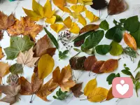 🥀心情低落时看到的世界是灰暗的，
🌹心情明媚时看到的世界是五彩的，
☀世间不乏美好，
👀只是我们缺了一双发现美的眼睛♡配图