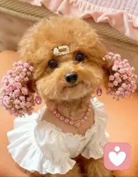 每天都在接住别人的情绪，其实咨询师也会累。只是习惯了把稳定留给来访者，把脆弱悄悄消化。我们不是没有情绪，只是更懂得如何安放情绪。愿每一份倾诉都被认真对待，也愿每一位咨询师，都能被自己温柔善待。