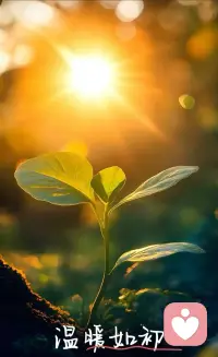 练习“温柔地放手”
不是所有东西都需要紧紧抓住。放下不属于你的，才能腾出手来接住真正重要的。