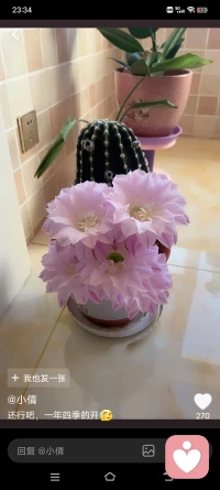 不要怕挫折，不要害怕困难，不要怕别人否定自己，甚至你不妨自己否定自己，就从先把自己逼到墙角，然后你再看看自己的反弹力有多大……配图