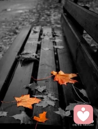 人生真正的智慧，不在于永远走对，而在于走错后依然有重新开始的勇气——选自黑塞的《悉达多》配图