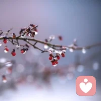 没有边界的心软，只会让对方得寸进尺。毫无原则的善良，只会让自己遍体鳞伤。配图