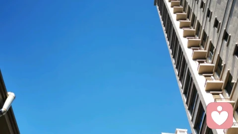 永远不要在有毒的环境里证明自己