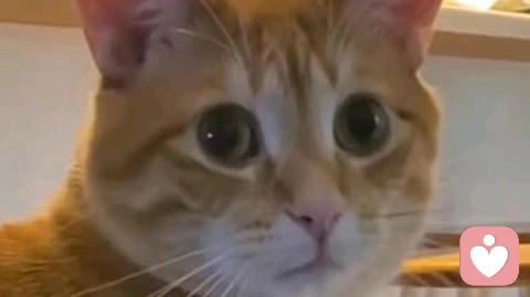 抑郁症正确自救