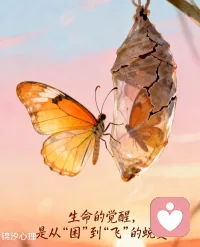 生命的覺醒，就是一場從毛毛蟲??到蝴蝶??的蛻變！
這條路有掙扎有痛苦，卻很值得！
人生的色彩由自己來做主！就像調色盤在手中，你可以用勇氣涂抹藍天，用熱情暈染夕陽，用寧靜勾勒月光。
每一次選擇都是筆觸，或濃烈或清淺，最終交織成獨一無二的畫卷。愿你我在時光里，始終保有這份溫柔而堅定的掌控力。