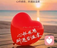 心懷感恩 ；所遇皆溫柔