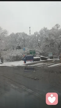 被雾凇和雪包裹的世界，连空气都变得温柔。所有的焦虑都被这场雪融化了，剩下的，全是生活的甜。