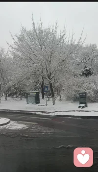 被雾凇和雪包裹的世界，连空气都变得温柔。所有的焦虑都被这场雪融化了，剩下的，全是生活的甜。