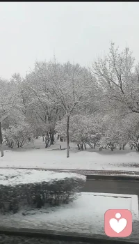 被雾凇和雪包裹的世界，连空气都变得温柔。所有的焦虑都被这场雪融化了，剩下的，全是生活的甜。