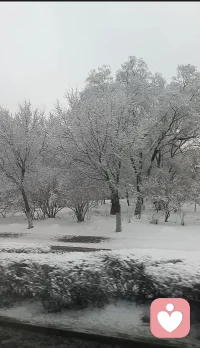 被雾凇和雪包裹的世界，连空气都变得温柔。所有的焦虑都被这场雪融化了，剩下的，全是生活的甜。