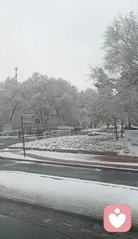 被雾凇和雪包裹的世界，连空气都变得温柔。所有的焦虑都被这场雪融化了，剩下的，全是生活的甜。