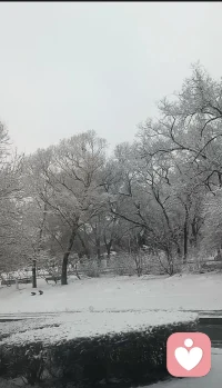 被雾凇和雪包裹的世界，连空气都变得温柔。所有的焦虑都被这场雪融化了，剩下的，全是生活的甜。