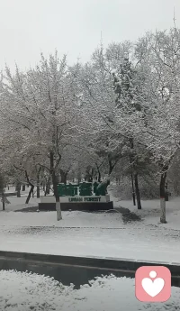 被雾凇和雪包裹的世界，连空气都变得温柔。所有的焦虑都被这场雪融化了，剩下的，全是生活的甜。