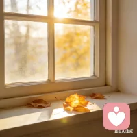 晨光漫过枝头，也照进心底。和自然相拥的时刻，就是最好的疗愈。