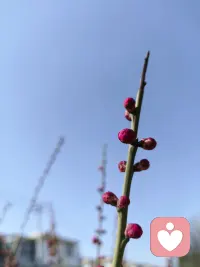 初三是谷子的生日，万物生长，始于滋养。
心理的健康，亦如良田，需要按时播种，更需要耐心灌溉。