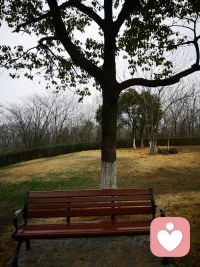 自然界的生命力向来顽强，熬过寒冬，便迫不及待地生发。
人亦是如此，你远比自己想象中更坚韧，并没有那么脆弱。配图