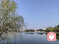 喜欢这句话“我们要有勇气面对自己的不适，从过去舒适的情境中出来，要面对自己心智的转化，有向内扎根和探索的勇气”。配图