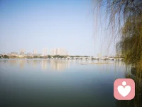 喜欢这句话“我们要有勇气面对自己的不适，从过去舒适的情境中出来，要面对自己心智的转化，有向内扎根和探索的勇气”。配图