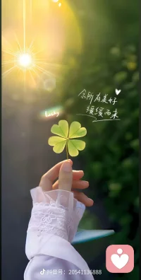 深情不及久伴，厚愛無需多言。配圖