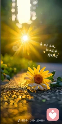 照顧好自己，世界才會屬于你。風雨由天快樂由己。記保重身體健康第一，心中若有桃花源，何處不是水云間！配圖