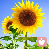 人生最好的貴人，就是努力向上的自己。配圖