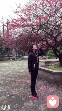 种子在泥土里等待春天，而春天，正在赶来的路上。那些期盼，终会破土而出。