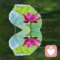 感情本就是一場雙向奔赴，若只剩單向執著，再痛的告別也該及時止損。