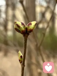 先接纳不完美，再追求优秀。你总盯着自己的缺点：颜值不够高、能力不够强、性格不够好，逼着自己变成别人期待的样子。可世界上没有完美的人，过度苛责自己只会陷入自卑的内耗。先接纳自己的不完美，承认“我本来就很好”，才能带着底气去成长，而不是在焦虑中透支自己。配图