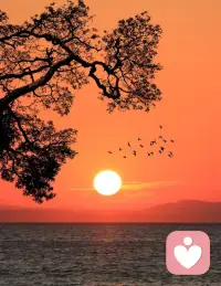 先处理情绪，再解决问题。遇到挫折就崩溃，被误解就抓狂，带着情绪做决定，最后只会把事情搞得更糟。真正的爱自己，是学会和情绪相处：先停下来深呼吸，接纳自己的愤怒、委屈或焦虑，等情绪平复后，再理性分析问题、解决问题。情绪稳定了，人生的脚步才能稳。