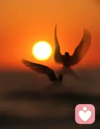 心理强大的几个表现：
1.允许一切发生，不较劲。
2.永远不问别人原因，沉默就是答案。
3.不怕失去，能失去的本来就不属于你。
4.允许别人做别人，也允许自己做自己。能量越高，越理解他人。
5.不纠缠烂人烂事，翻篇是最大的自愈。
6.不向任何人证明自己，懂你的人不需要，不懂你的人不配。配图