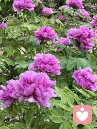 内在的世界 ，巨大的力量：外在的一切境遇，都是内在世界的投射；你内在拥有怎样的秩序，你的人生就会呈现怎样的状态。内在世界，才是主宰人生的核心源头。