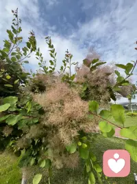 人生最大的敌人，不是竞争对手，不是糟糕的环境，而是自己那永远停不下来的内心戏码。从今天起，少想多做，吃好睡好。你最大的责任，就是让自己身心健康。别让内耗，锯断你那根命弦。记住，最好的养生，是养心；最好的药方，是放过自己。配图