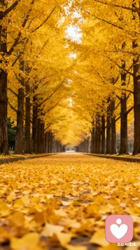 自信是一个很重要的品质，但拥有自信的前提是获得足够多的鼓励与善意。