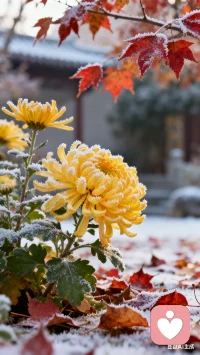 敢于說出自己的想法不是一件容易的事，因為永遠不知道迎接自己的是掌聲還是冷水。配圖