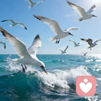 山重水复疑无路，柳暗花明又一村，很多时候，绝境往往也是顺境的开始。