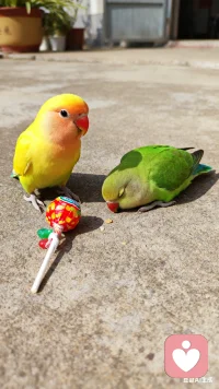 允许一切事情发生是一种豁达的心态，拥有这种心态的人在任何挫折面前都能够淡然处之。