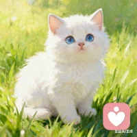 如果感到累了就去休息，每天的生活都要有留白。張弛有度的生活才是最從容的。